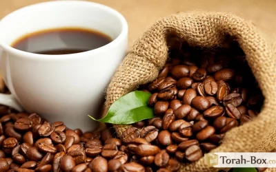 Révélations de la riche histoire du café : une odyssée mondiale à travers les siècles